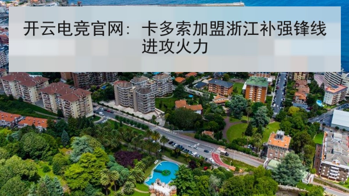 开云电竞官网: 卡多索加盟浙江补强锋线进攻火力