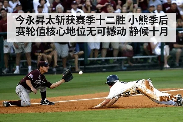 baseball playoff atmosphere